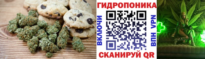 Купить где  Устюжна  Печенье с ТГК конопля 