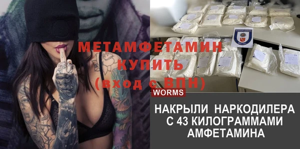 ПСИЛОЦИБИНОВЫЕ ГРИБЫ Балабаново