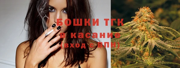 ПСИЛОЦИБИНОВЫЕ ГРИБЫ Баксан
