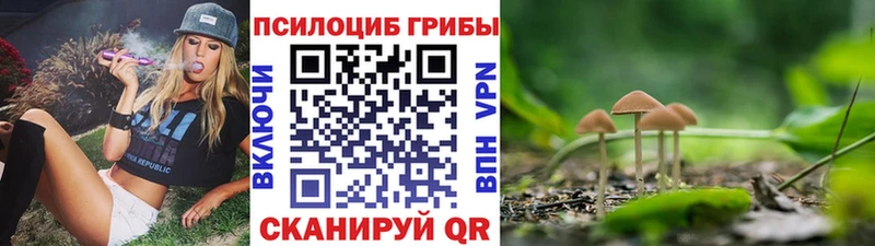 Купить  Устюжна  Галлюциногенные грибы прущие грибы 